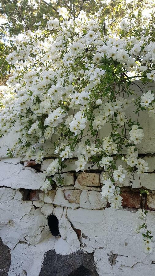Innergardens Bed And Breakfast Karlshamn  Exterior foto